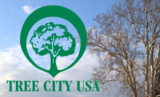 Tree City USA recognition and upcoming tree planting | Ada Icon